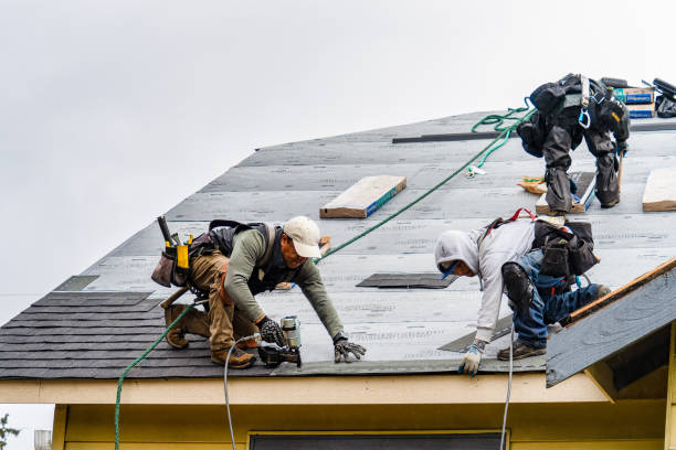 Professional Gutter Installation technician working in Spring Park, MN